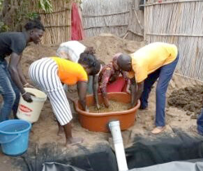 preparing cow dung for biodigester
