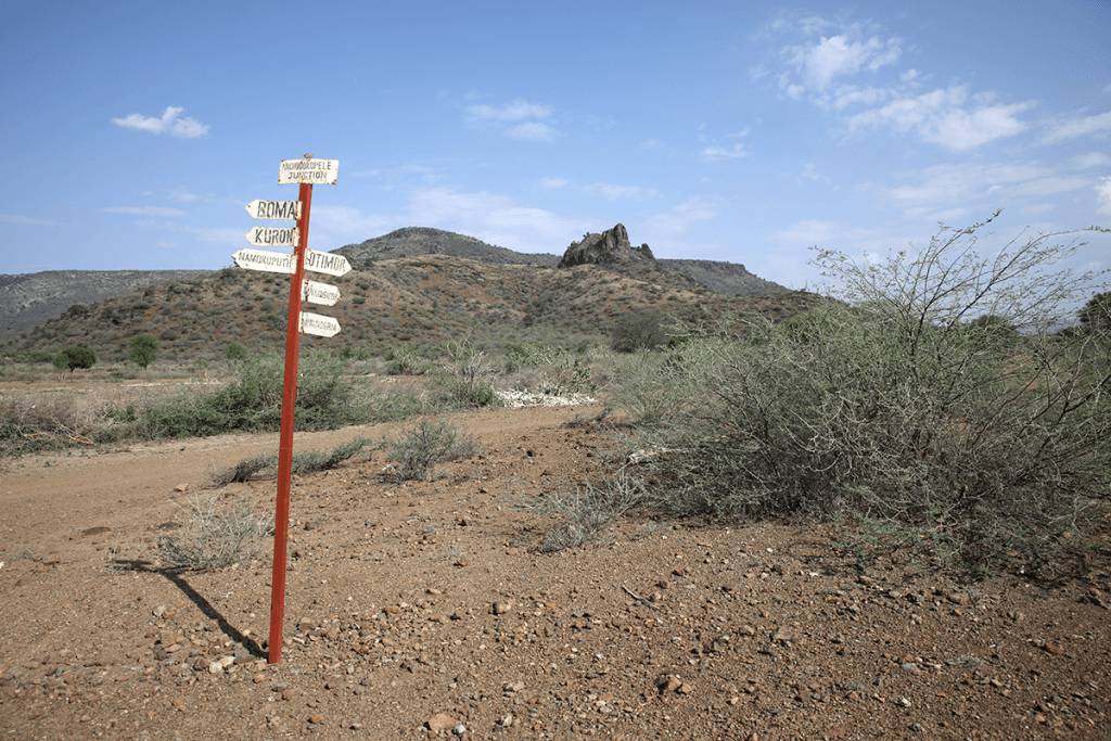 shruby landscape with crossroads sign