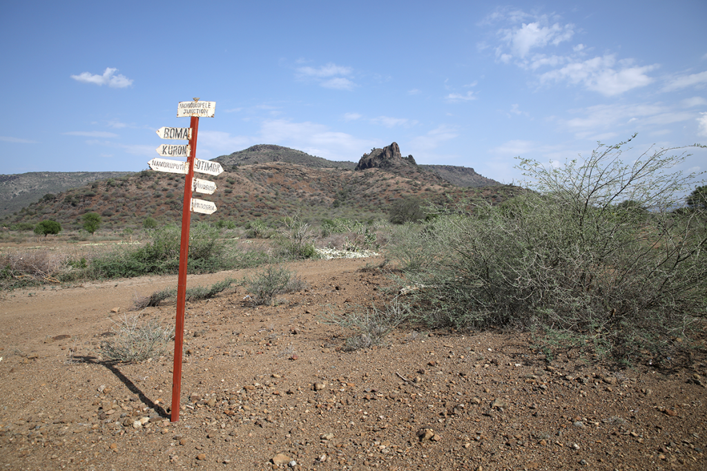 shruby landscape with crossroads sign